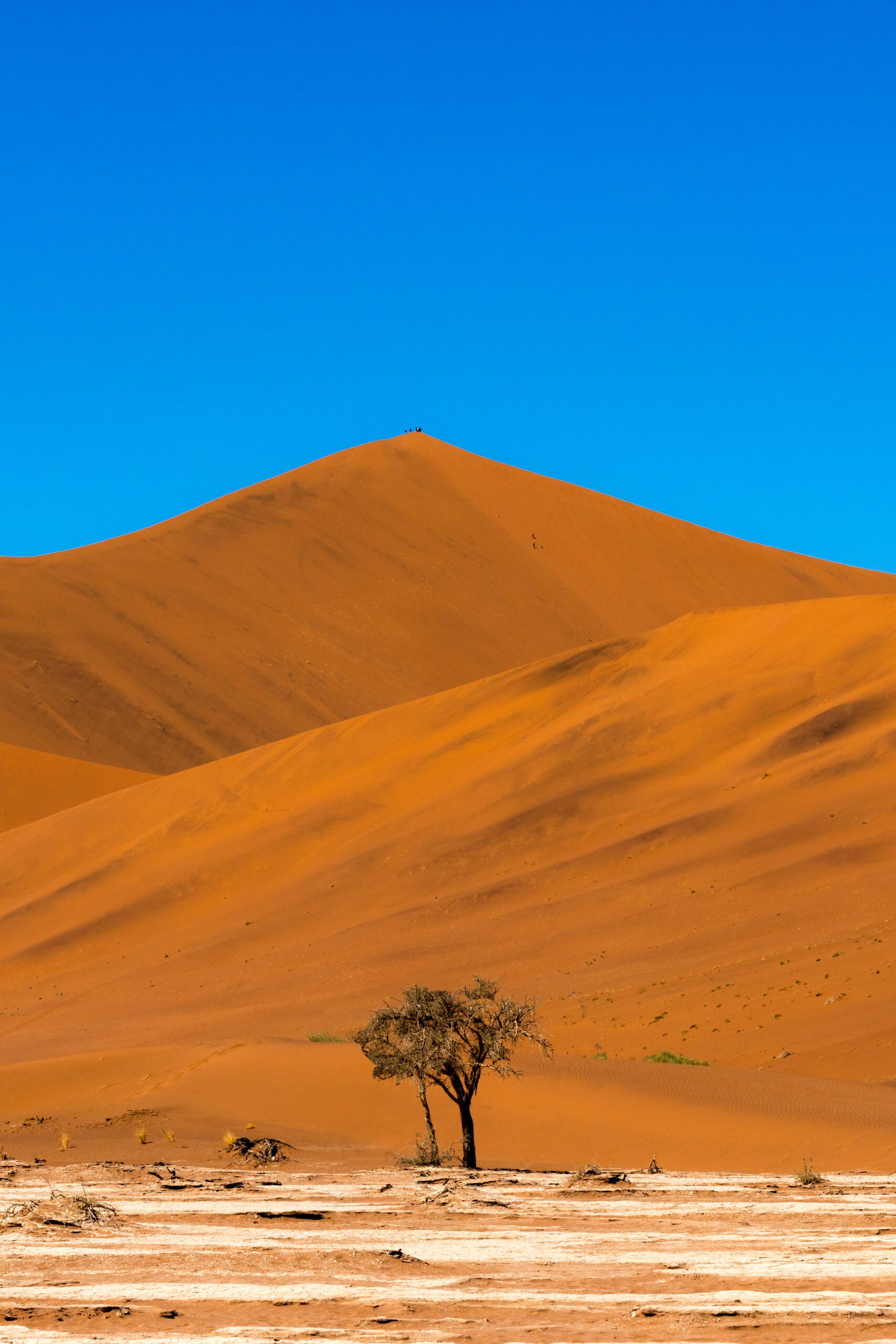 beautiful-landscape-orange-sand-dune-orange-sand-namib-desert-namib-naukluft-national-park-sossusvlei-namibia