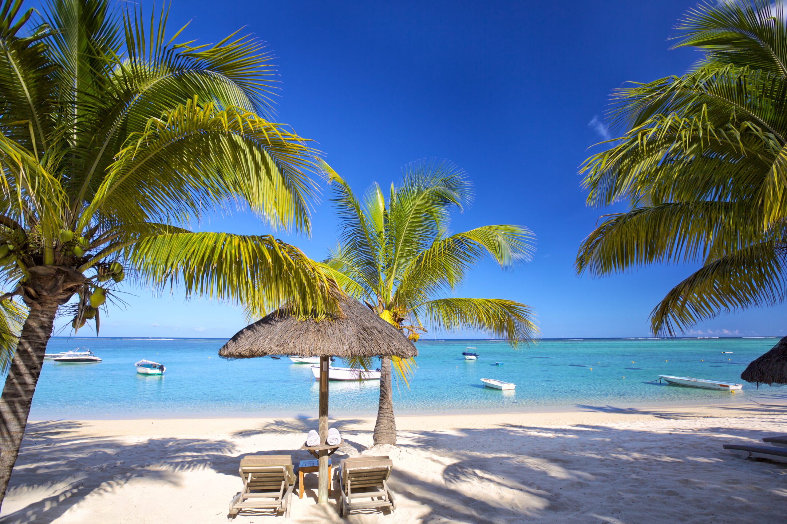 Mauritius palm beach