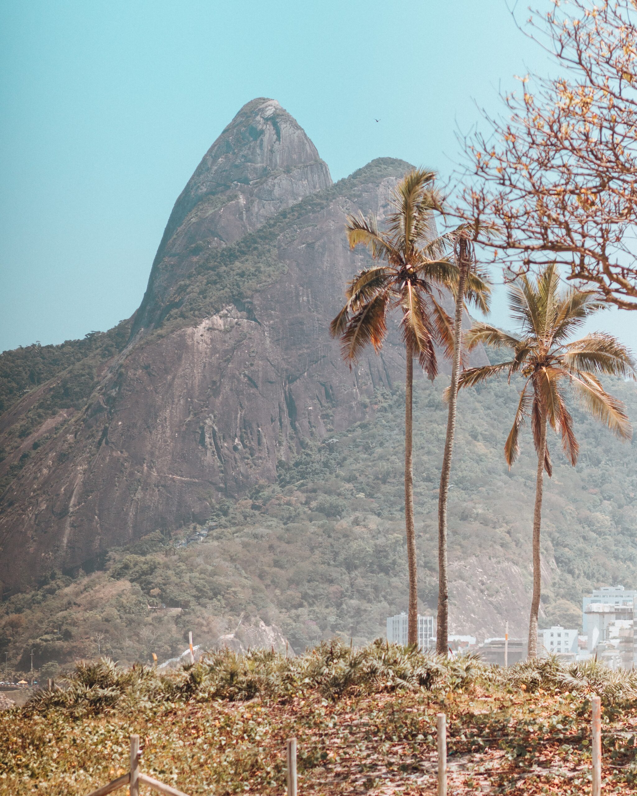 Vertical shot of the beautiful mountains and trees captured in Copacabana beach, Rio de Janeiro