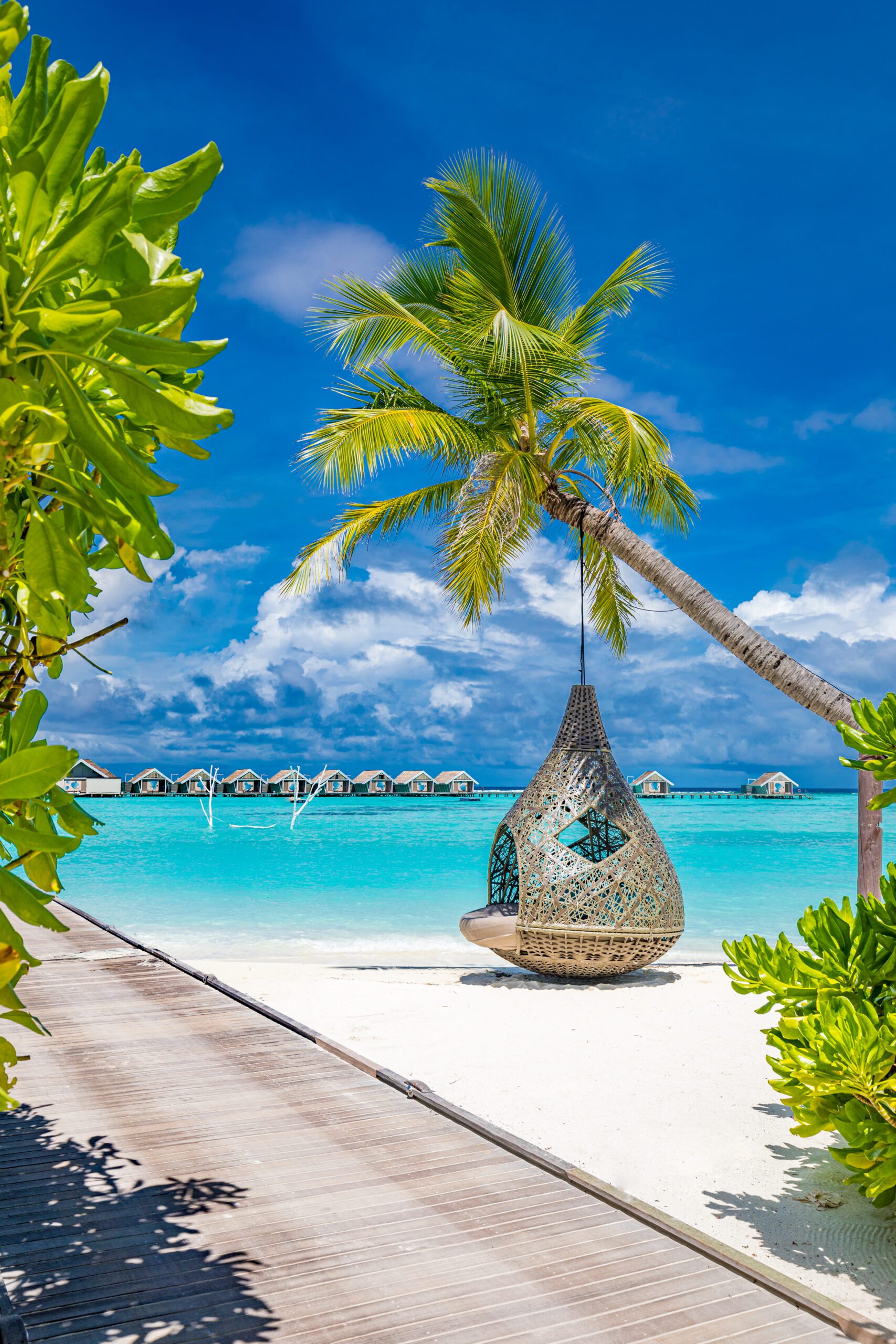 beautiful-tropical-landscape-beach-swing-hammock-palm-tree-white-sand-sunny-sea-view
