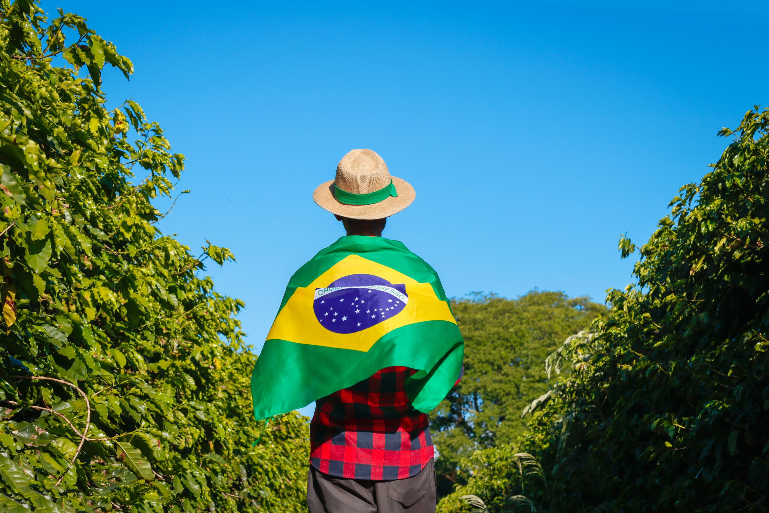 Farmer at coffee plantation holding Brazilian flag