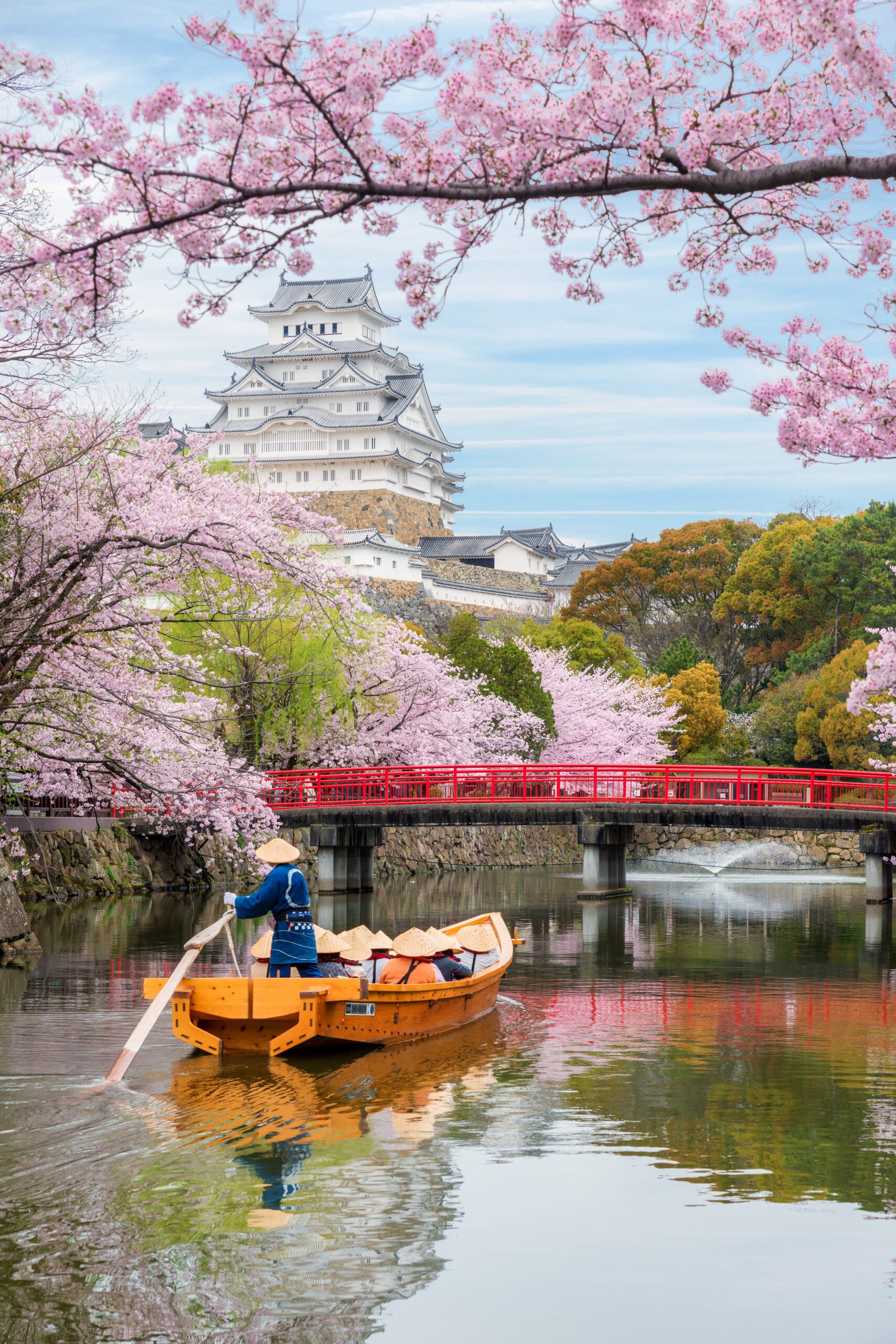 Himeji Castle with beautiful cherry blossom in spring season at