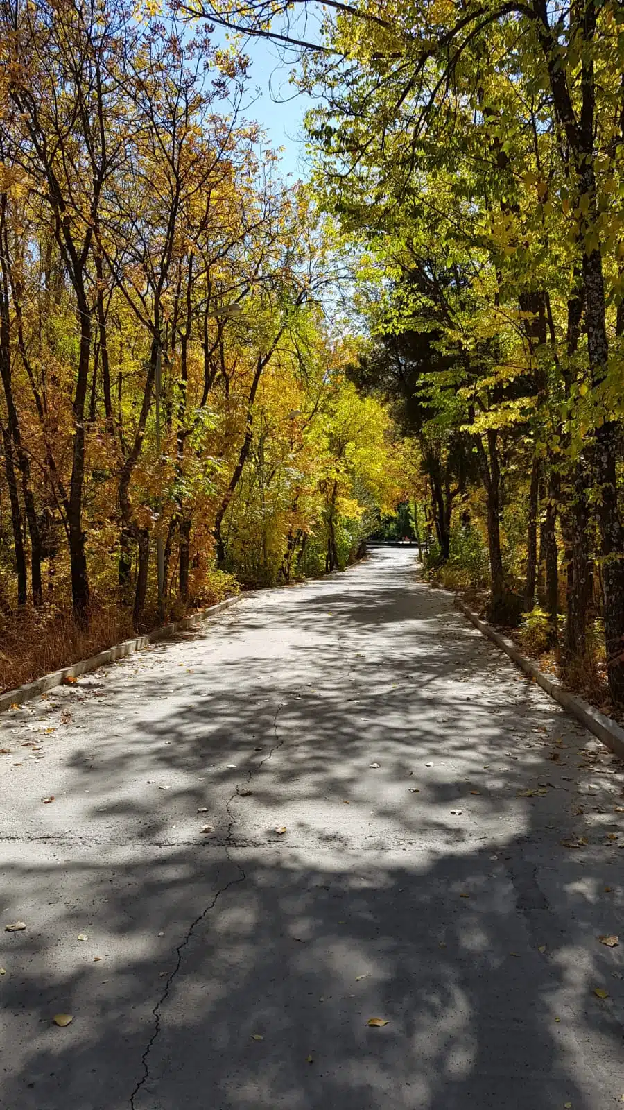 bd47e529-4c68-432f-8082-06b9ba55d6cc