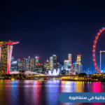 استكشف قائمة حول أفضل الأنشطة المجانية في سنغافورة للعائلات السعودية، بداية من حدائق الخليج مرورًا بأجمل ممشى وحتى محمية سنغاي بولوه الطبيعية
