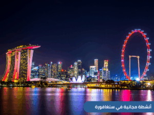 استكشف قائمة حول أفضل الأنشطة المجانية في سنغافورة للعائلات السعودية، بداية من حدائق الخليج مرورًا بأجمل ممشى وحتى محمية سنغاي بولوه الطبيعية
