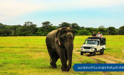 أفضل 5 وجهات إفريقية بدون فيزا للسعوديين في 2025