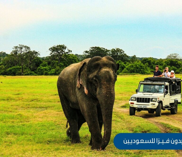 وجهات إفريقية بدون فيزا للسعوديين