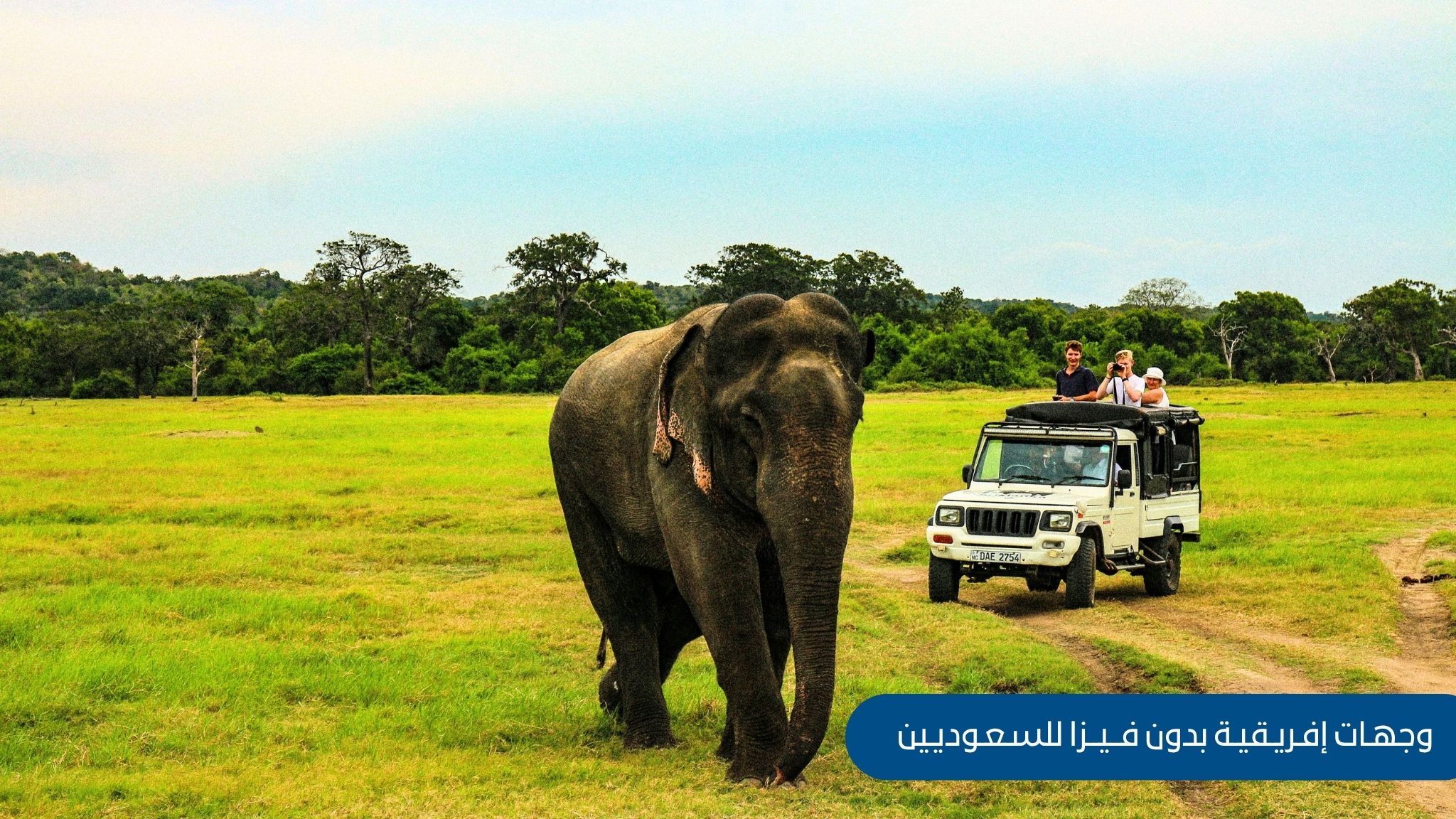 وجهات إفريقية بدون فيزا للسعوديين
