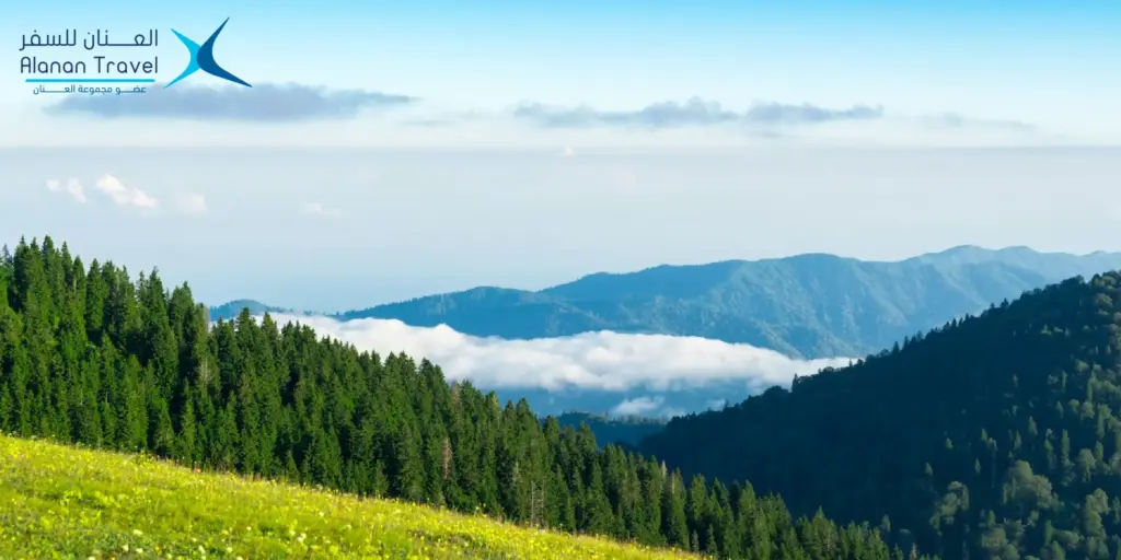 افضل الاوقات للسفر الى تركيا: اكتشف أهم 5 وجهات سياحية لتركيا لا مثيل لها 4 مواسم السياحة تركيا