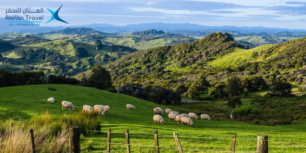 تخطيط رحلة سفر: أهم 5 نصائح لسفر مريح وبدون عناء 4 تنظيم رحلة سفر