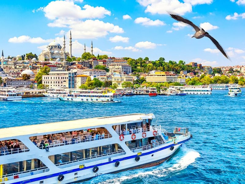 touristic-sightseeing-ships-golden-horn-bay-istanbul-view-suleymaniye-mosque-with-sultanahmet-district-seagull-foreground-istanbul-turkey-during-sunny-summer-day