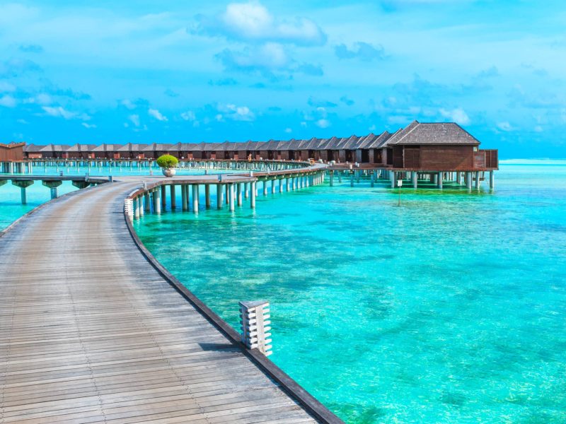 tropical beach in Maldives with few palm trees and blue lagoon